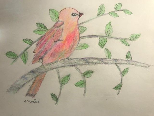 A Bird sitting on a tree