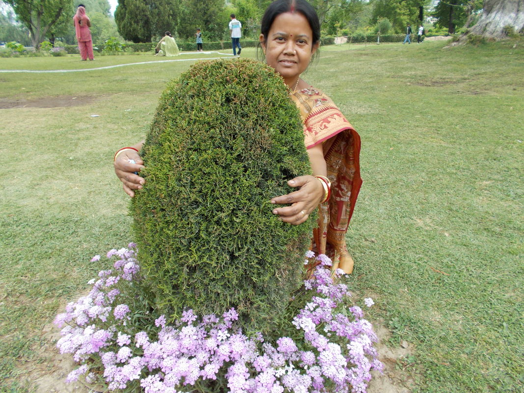 Tour to Kashmir Valley and Photographs 