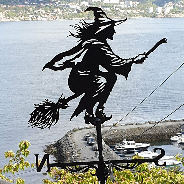 The dreamy Witch