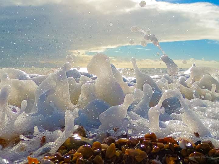 Water