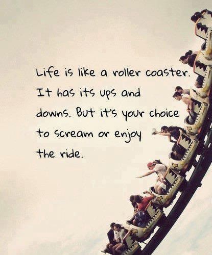 My rollercoaster ride Poem by Jill Tait