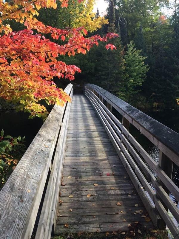 The Bridge of Dreams