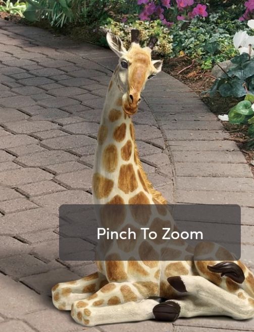 Tears of a giraffe