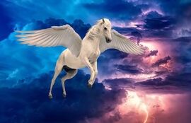 Pegasus