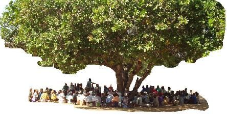 UNDERNEATH THE POETRY TREE