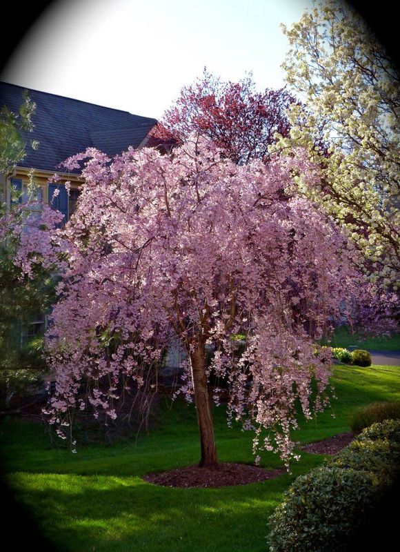 Magical, mystical Mother nature💕