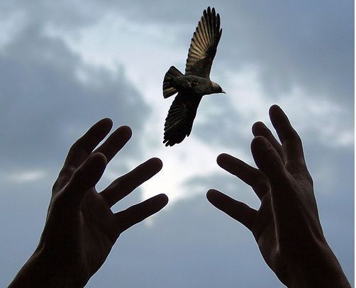 THE DAY FALSE LOVE DIED 