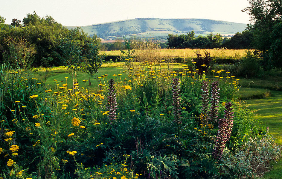 Meandering meadows💕
