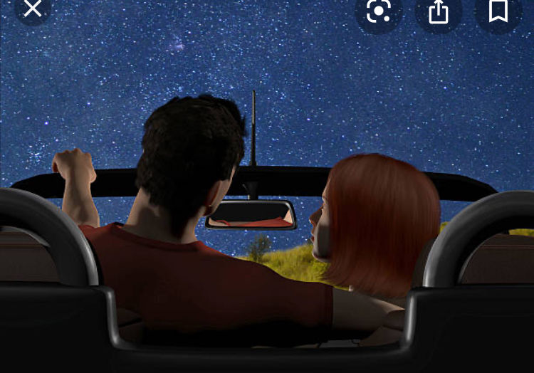 Perfect Night 
