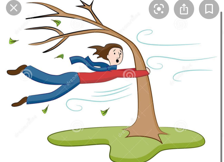 Winded Love 
