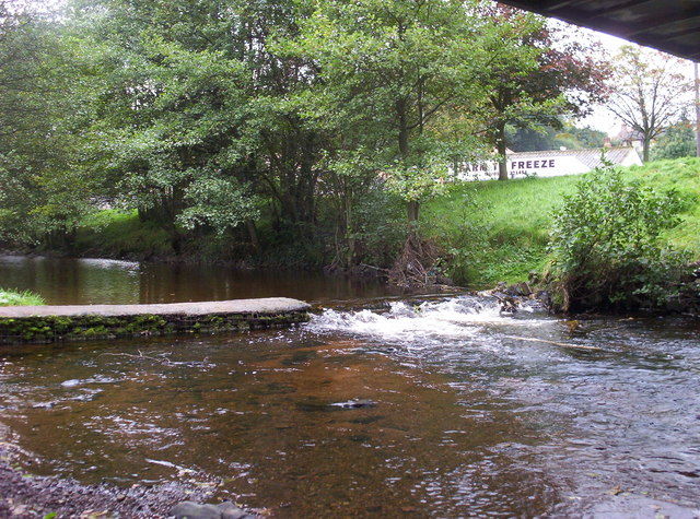 Our little town river 🧅