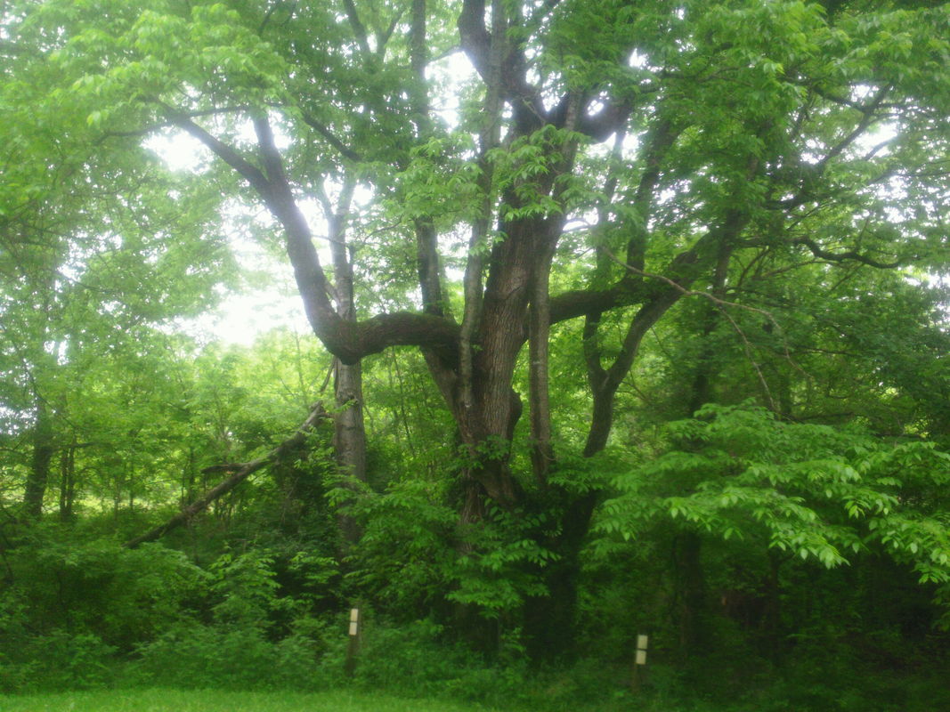 Twisted Forever Together