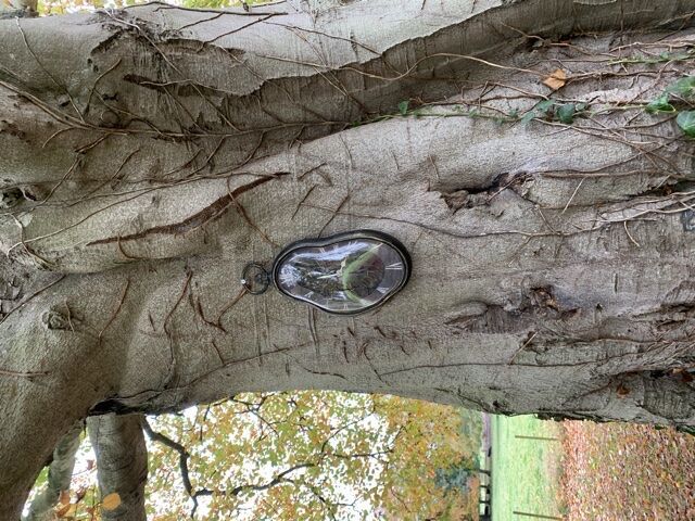 A clock on a tree ?