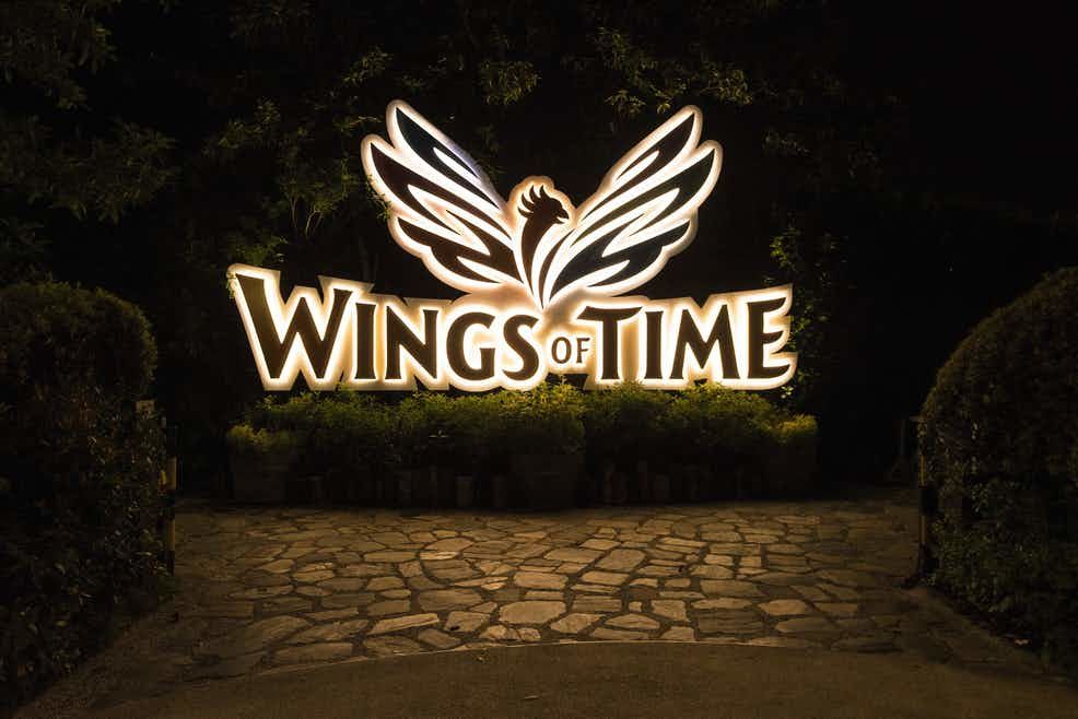 ON THE WINGS OF TIME 