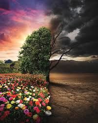 ‘Immortality Vs Death’