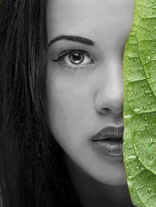 WILLIAMSJI MAVELI WRITES, ECHOES 