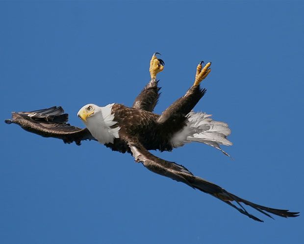 CHANGED IN FLIGHT 