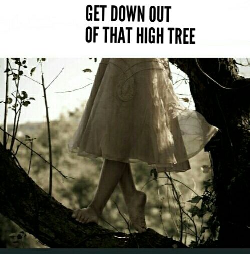 GET DOWN OUT OF THAT HIGH TREE 