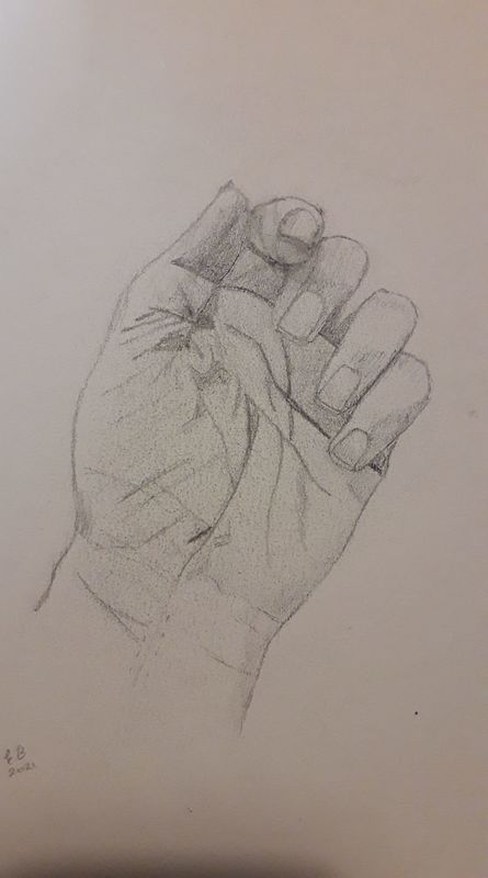 Study of hand