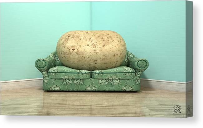A Couch Potato 🤣