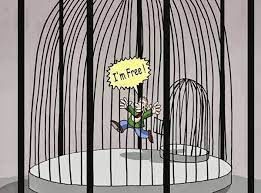 Illusion of freedom