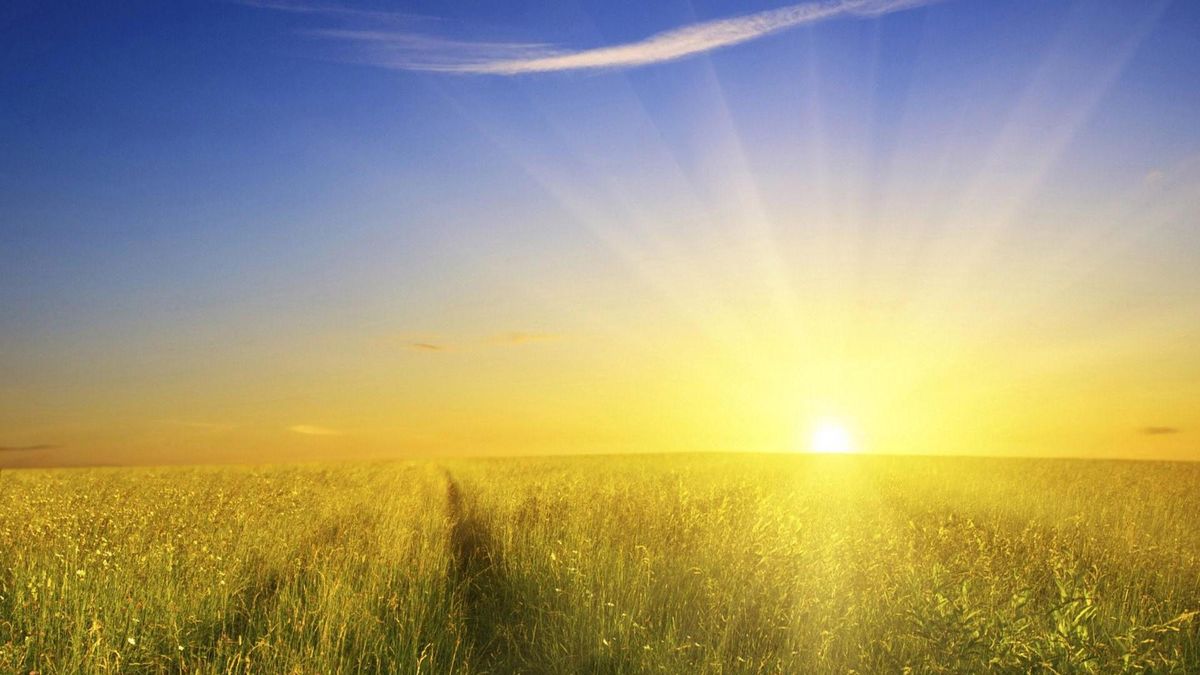 REJOICE