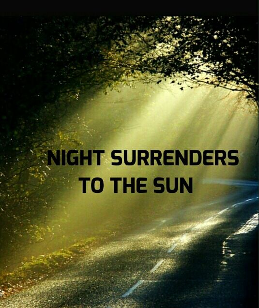 NIGHT SURRENDERS TO THE SUN