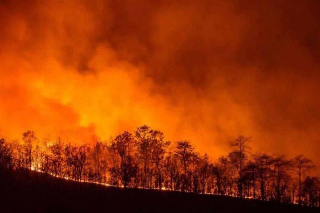 FLAMES Sardinia – Italy (July 2021)