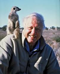 Sir David Attenborough ❤️