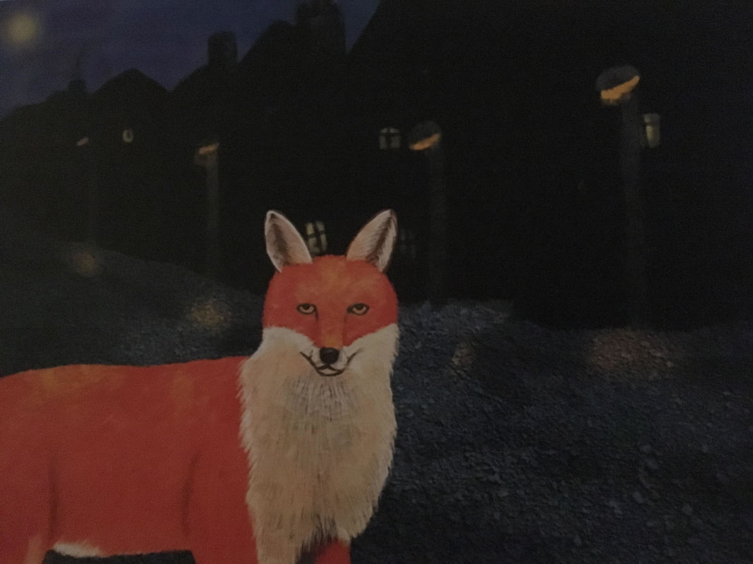 Midnight Fox 