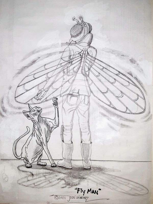Fly Man