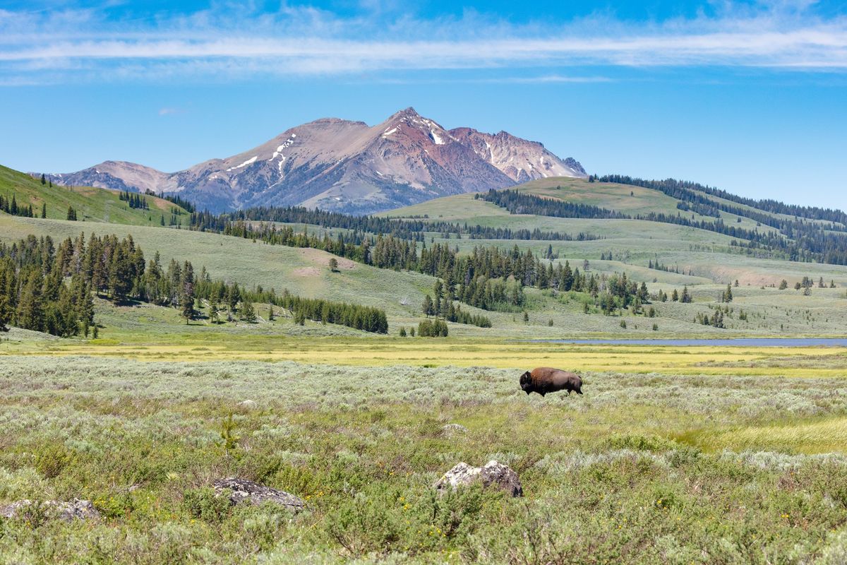 ROCKY MOUNTAIN SKIES