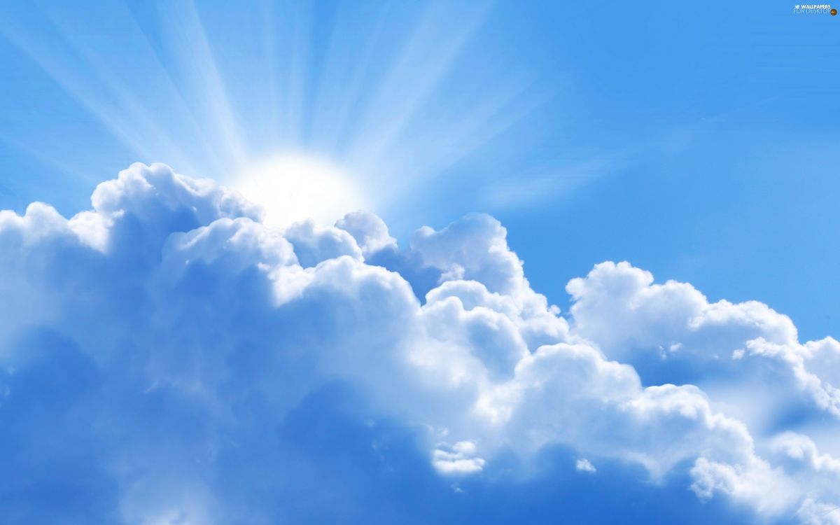 A RAY OF SUNSHINE