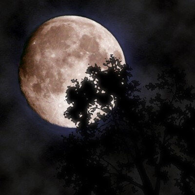 OCTOBER MOON