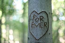 My Love For You Remains Forever