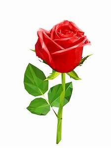 I AM ROSE