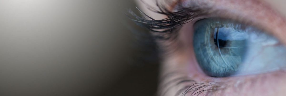 Sight
