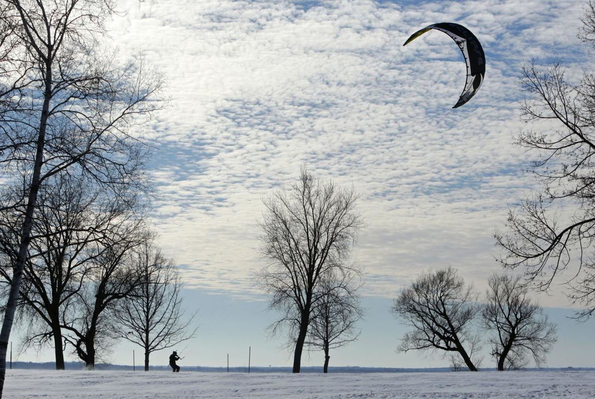 THE WINDS
