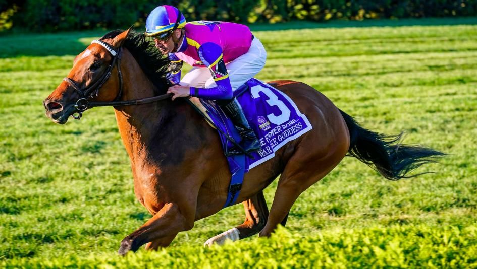 What a fine filly 🐴
