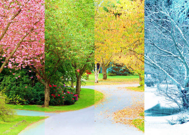 Your four seasons ❤️