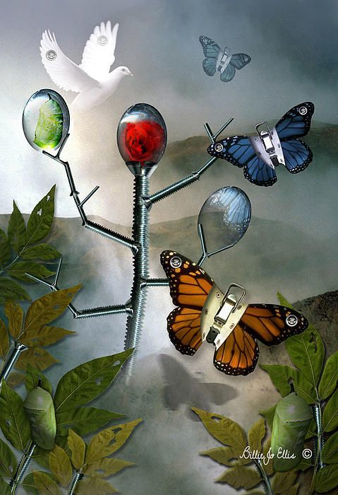Metamorphosis 