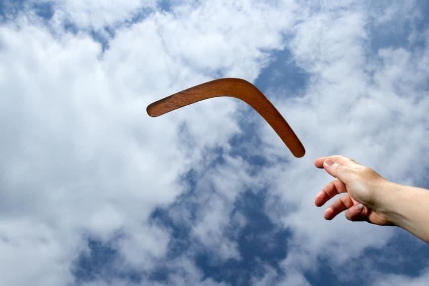 My little boomerang đ¤Ł