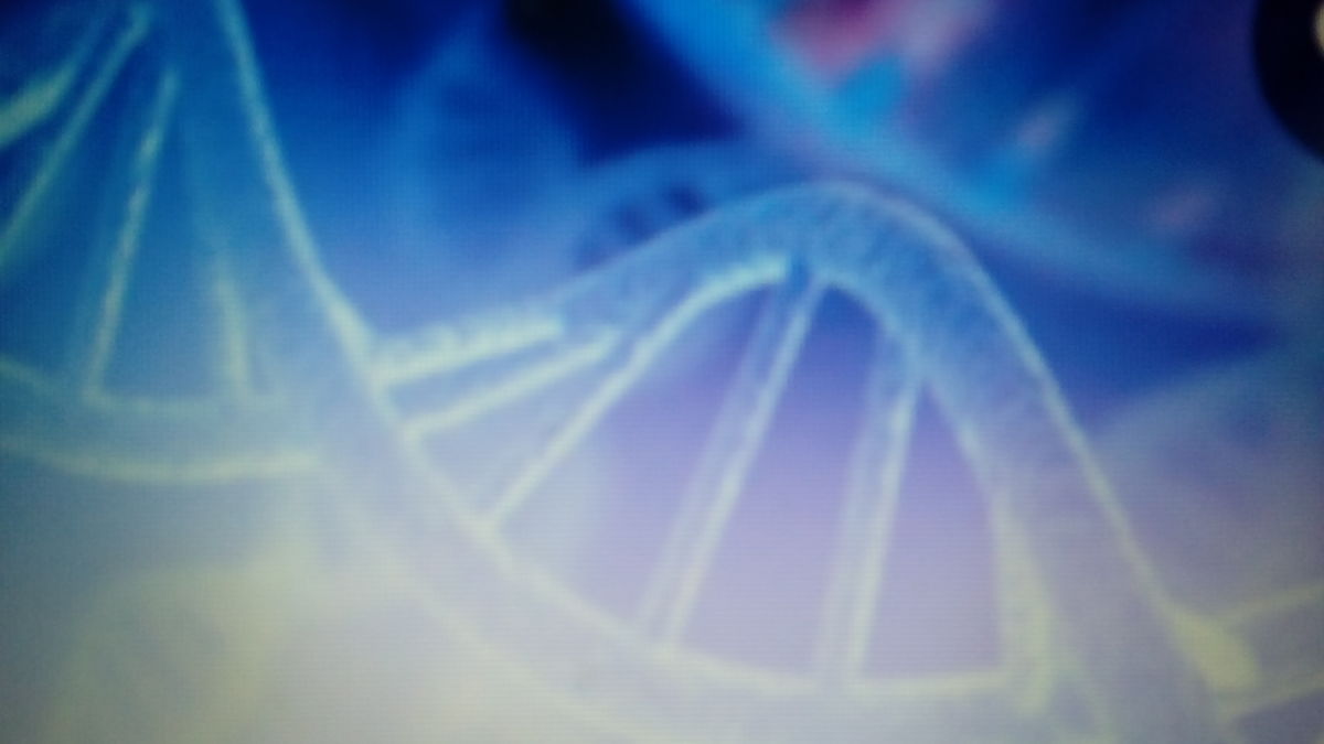 The DNA Was Different