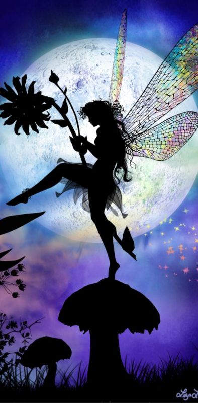 Fairy Fantasia The Belle Of The Ball 🧚