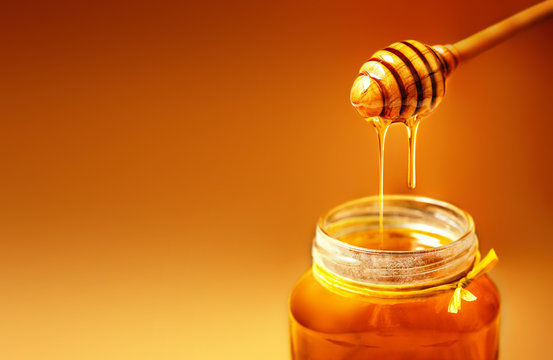 Your Love is a Honey Pot 🍯