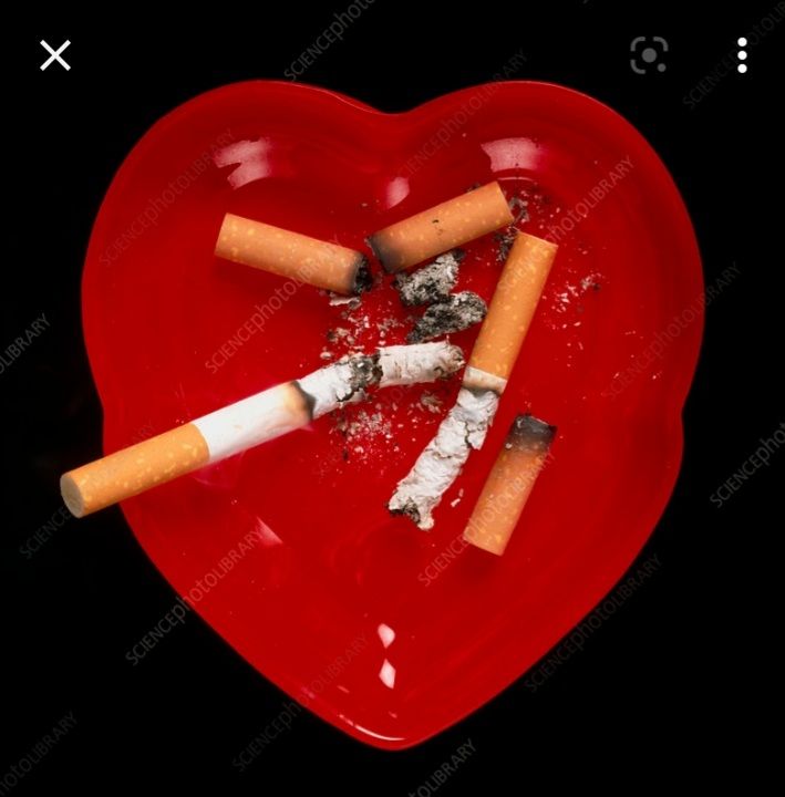 Ashes to Ashes, Lust to Dust
