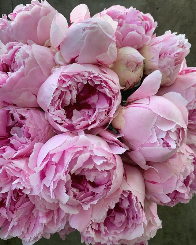 Favourite flower