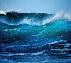 Oh Sensational Sea 💙