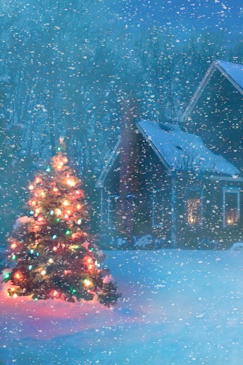 Festive