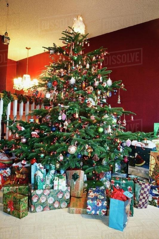 THE CHRISTMAS SPIRIT